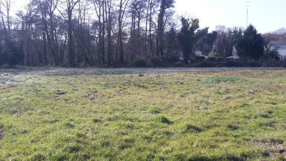 Maisons neuves   Sanguinet (40460)