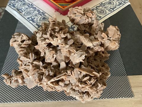 Rose des sables Saint-Etienne (42)