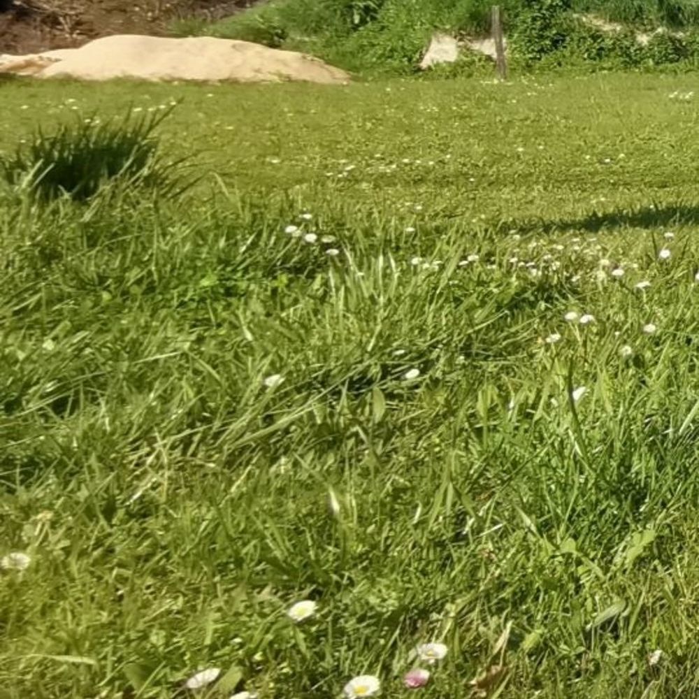 Terrains � batir   Antonne-et-Trigonant (24420)