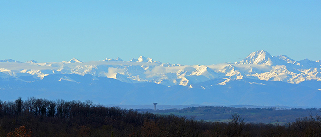 Agence MOURREJEAU Marciac