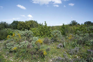  Terrain � louer 87000 m�