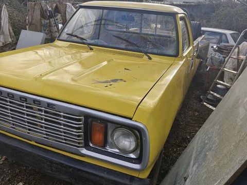 Dodge Divers Pick-up 1983 occasion Lissieu 69380