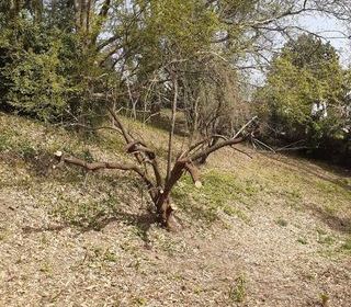  Maison � vendre 4 pi�ces 70 m�