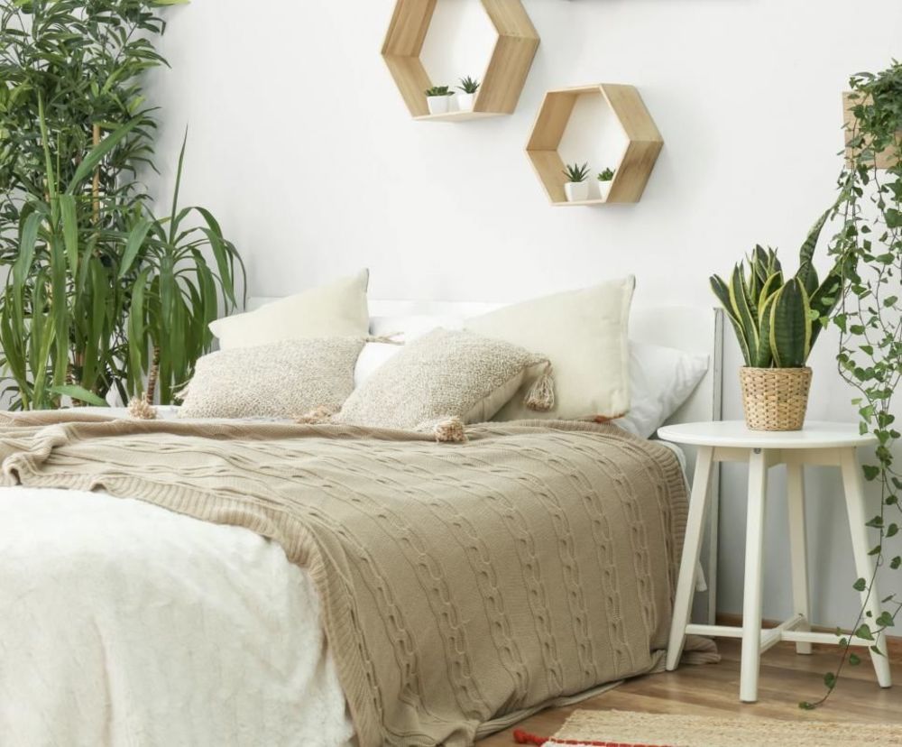 Appartements neufs   La Teste-de-Buch (33260)