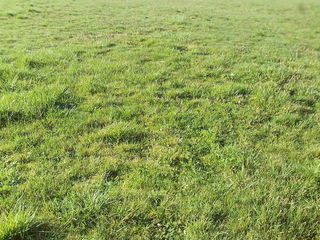  Terrain � vendre 1770 m�