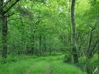  Terrain � vendre 80 m�