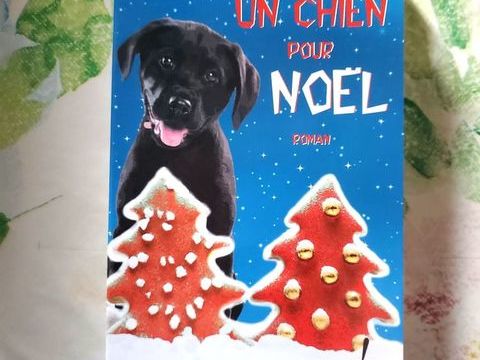 UN CHIEN POUR NOEL de Greg KINCAID Ed. Oh 3 Bubry (56)