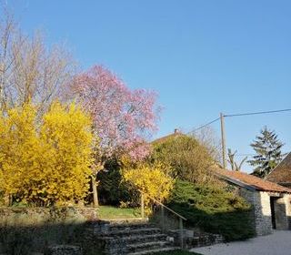  Maison � vendre 10 pi�ces 220 m�