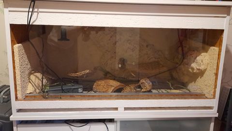 Terrarium 110 54360 Blainville-sur-l'eau