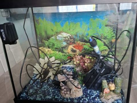 Aquarium 40 l complet 50 56600 Lanester