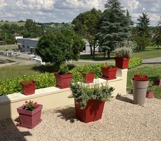 Location  Appartement 