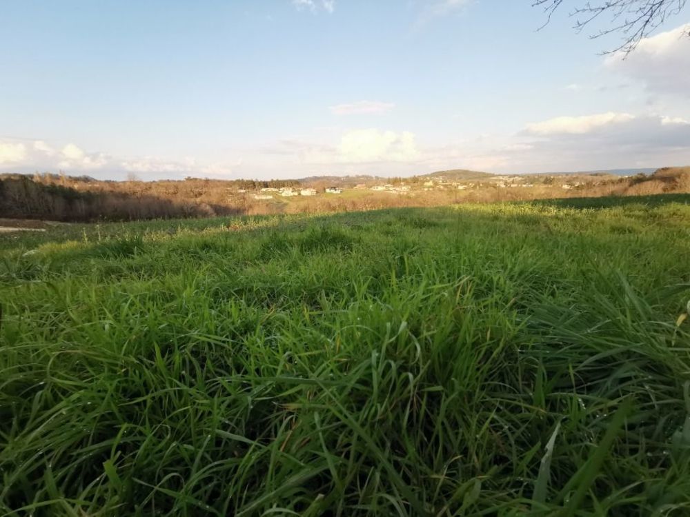   Antonne-et-Trigonant (24420)