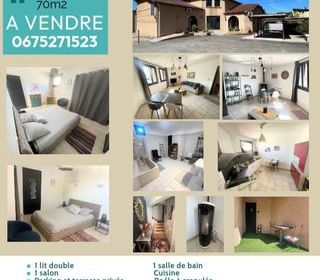  Villa � vendre 10 pi�ces 260 m�