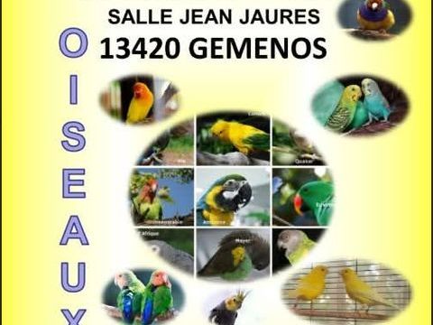 Exposition bourse d oiseaux 0 13420 G�menos