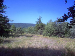  Terrain � vendre 1300 m�