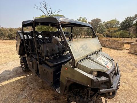 POLARIS Quad 2011 occasion Montolieu 11170