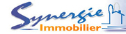 SYNERGIE IMMOBILIER