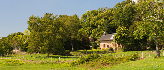 Agence EIRL AGENCE HAUTE VIENNOISE Chteauneuf-la-Fort