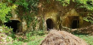  Terrain � vendre 15050 m�