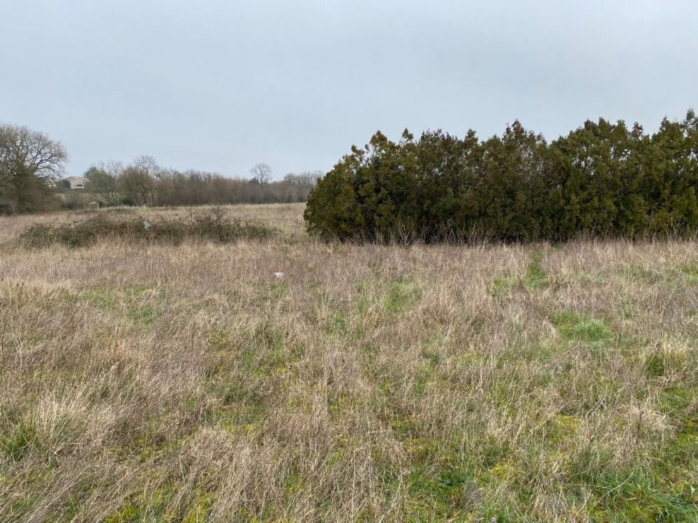   Pont-l'Abb�-d'Arnoult (17250)