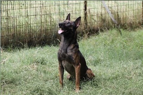 Galaxy 50 26700 Pierrelatte