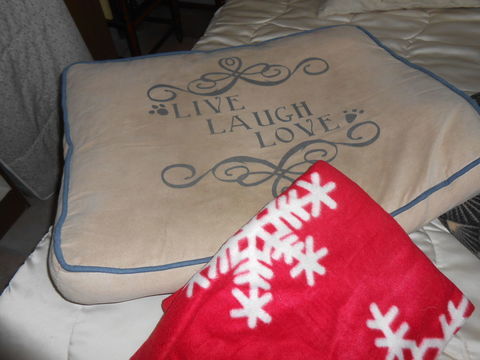 ENSEMBLE D'ARTICLES DIVERS  POUR CHIEN 0 79260 La cr�che