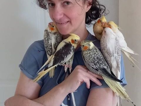 Calopsittes EAM 2025 100 06500 Menton