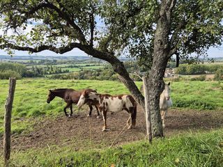  Terrain � vendre 15050 m�