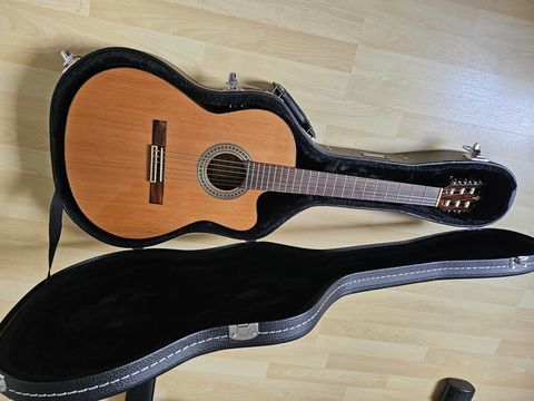 Guitare electro acoustique ALVAREZ  SYS 550 B-BAND AC65 HCE
550 Evreux (63)
