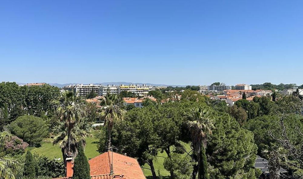   Perpignan (66000)