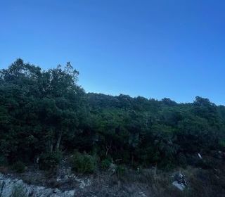  Terrain � vendre 50000 m�