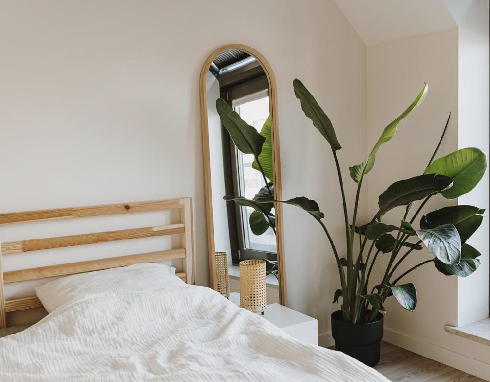 Appartements neufs   La Teste-de-Buch (33260)