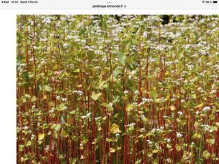  Ferme � vendre 1 pi�ce 120000 m�