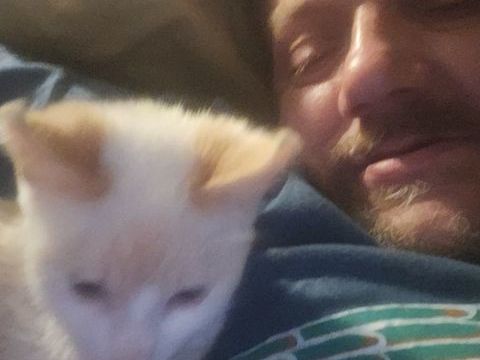 Recherche  Rottweiller 0 35210 Parc�