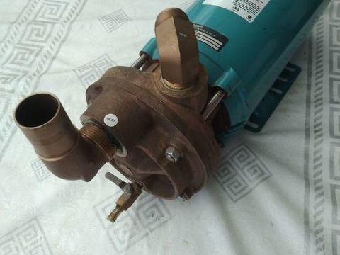 superbe moteur Buffton avec pompe eau MTH Pumps 1200 77270 Villeparisis