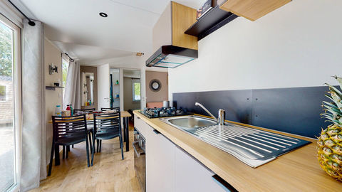 Mobil-Home Mobil-Home 2023 occasion Saint-Georges-d'Ol&eacute;ron 17190