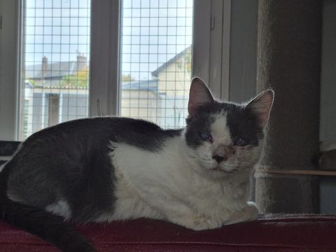 SKÖLL 210 76220 Ferrires-en-bray