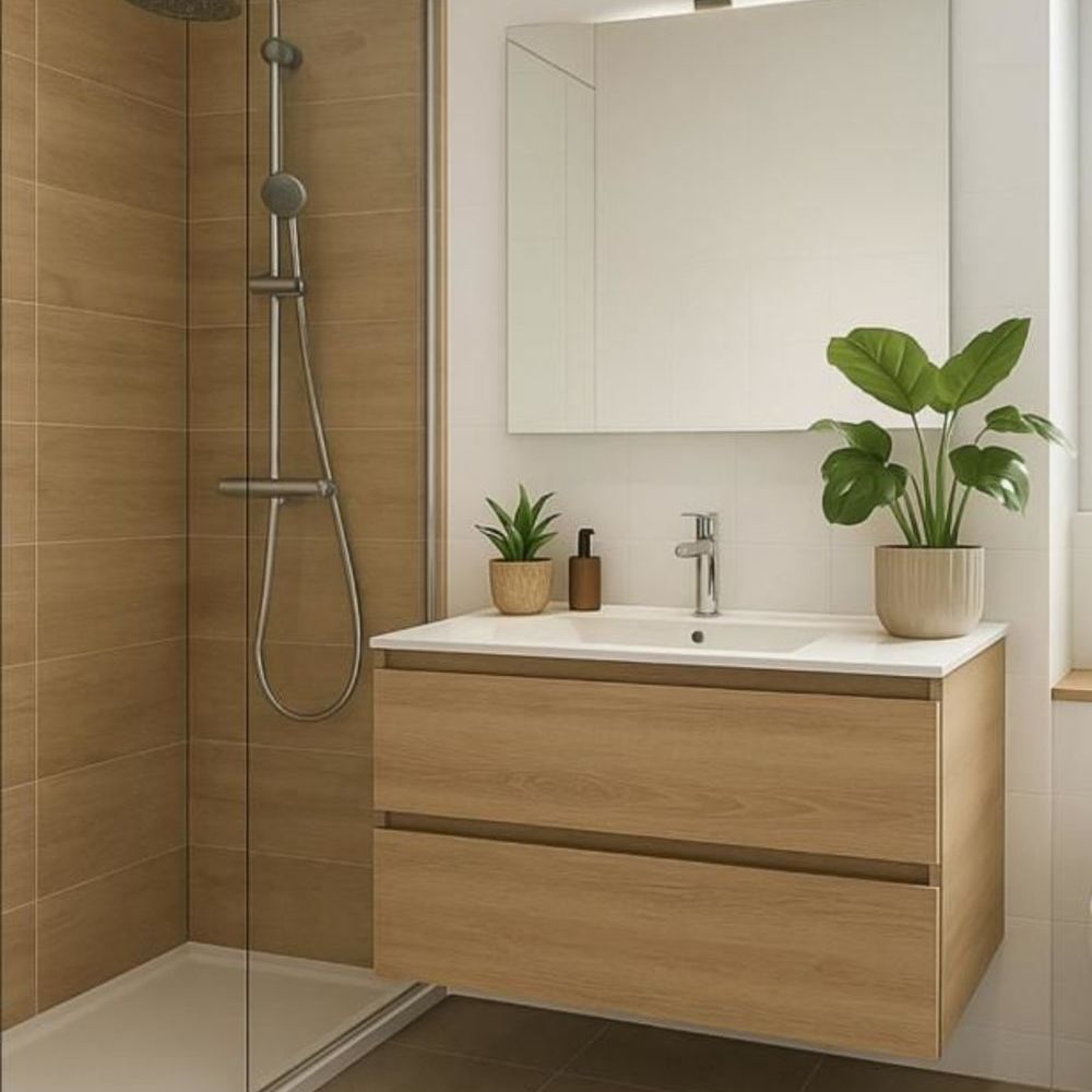   Tassin-la-Demi-Lune (69160)