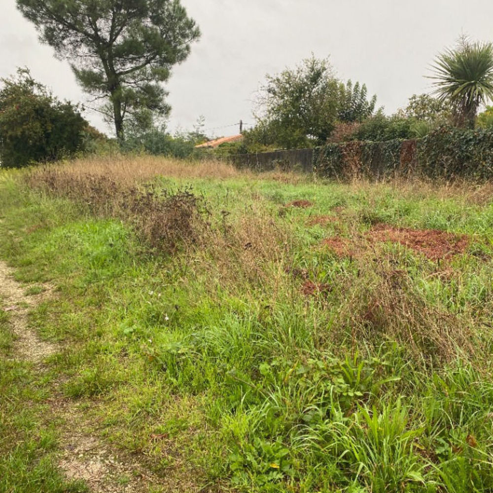 Maisons neuves   Blanquefort (33290)