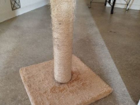 Arbre &agrave; chat 5 64000 Pau