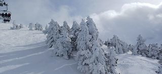  Appartement � vendre 4 pi�ces 67 m�