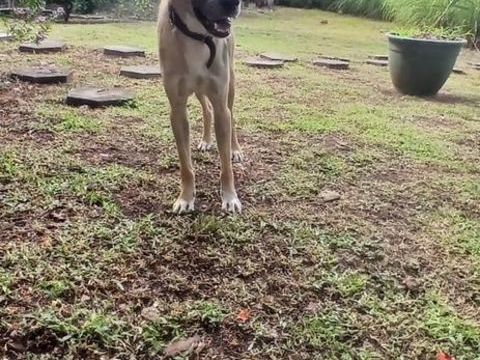 GAREL en refuge guadeloupe 0 75018 Paris