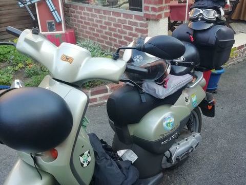 Scooter RENAULT 2011 occasion Auby 59950