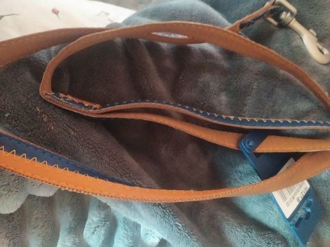 LAISSE NEUVE CHIEN MOYEN PRIX 2 Euros 2 93140 Bondy