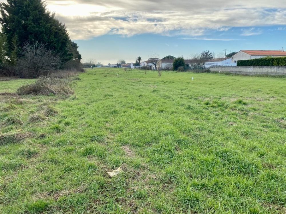 Maisons neuves   Le Gua (17600)