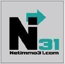 NETIMMO 31, agence immobilière 81