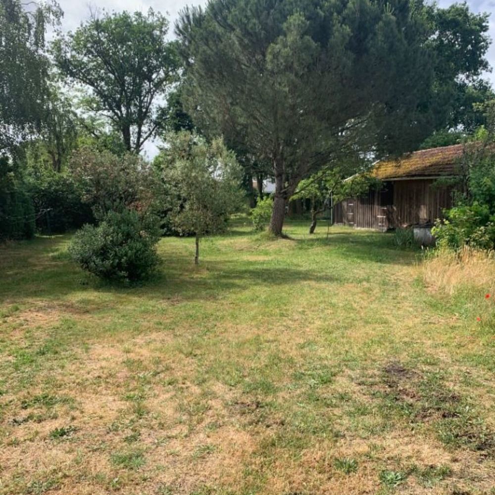 Maisons neuves   Listrac-Médoc (33480)