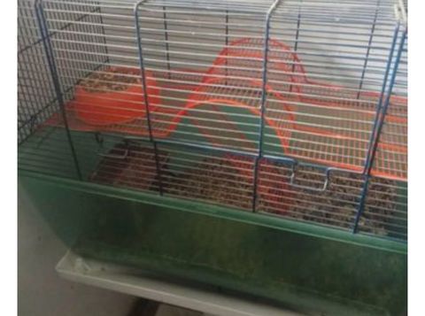 Gerbilles+ cage 40 15210 Ydes