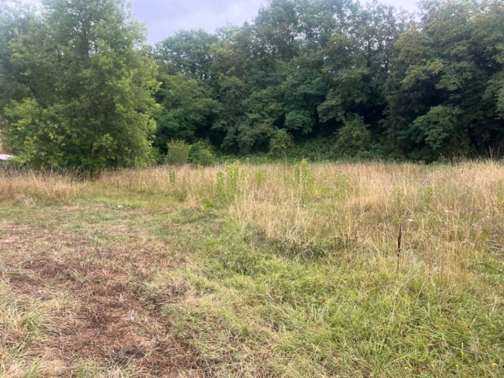 Maisons neuves   Bajamont (47480)