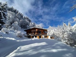  Chalet � vendre 8 pi�ces 233 m�